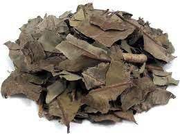 CHA JAMBOLAO 100G SYZYGIUM JAMBOLANA