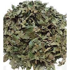 CHA MANGA FOLHAS DESIDRATADAS MANGIFERA INDICA 100G