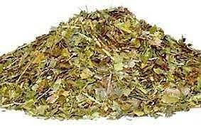 CHA BRANCO 100G CAMELLIA SINENSIS