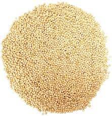 PAINCO TIPO 1 COM CASCA AMARELO 100G