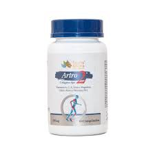 ARTRO COLAGENO TIPO 2 COM VITAMINAS 60 COMPRIMIDOS DE 550MG FAUNA E FLORA