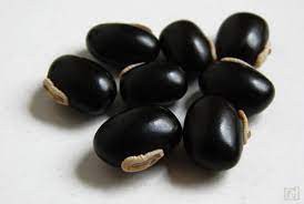 SEMENTE DE MUCUNA PRETA MUCUNA PRURIENS 100G