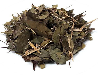 CHA PITANGA EUGENIA UNIFLORA 100G
