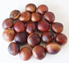 CHA CORONHA SEMENTE DESIDRATADA NEPHELIUM LONGATA 100G