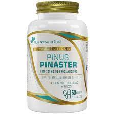 PINUS PINASTER COM VITAMINAS 60 CAPSULAS 450MG FLORA NATIVA