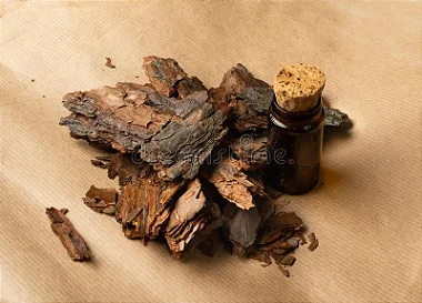 CHA CARVALHO CASCA 50G QUERCUS ROBUR