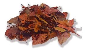 CHA 20G CRAJIRU PARIRI FOLHAS VERMELHAS ARRABIDAEA CHICA