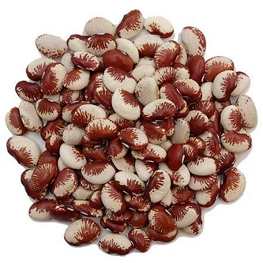 FAVA RAJADA VERMELHA 100G