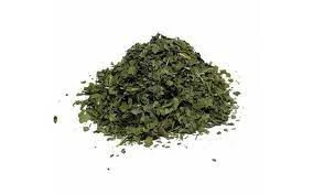 COENTRO EM FOLHAS CORIANDRUM SATIVUM 30G