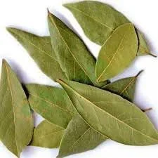 LOURO 30G FOLHAS LAURUS NOBILIS