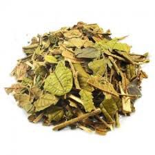 CHA 30G CANELA DE VELHO  MICONIA ALBICANS