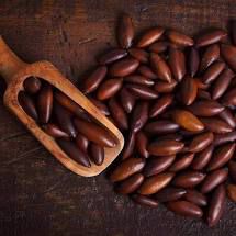 CASTANHA DE BARU TORRADA 100G