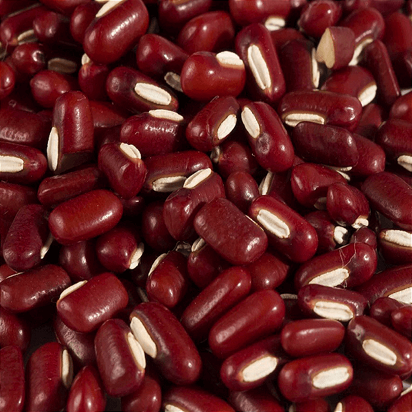 FEIJAO AZUKI JAPONES GRANEL 100G