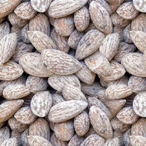 AMENDOA TORRADA SALGADA 100G
