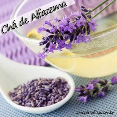 CHA 20G ALFAZEMA AZUL OU LAVANDA LAVANDULA OFFICINALLIS
