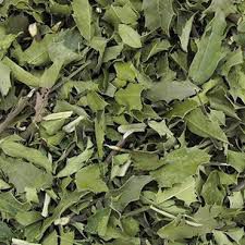 CHA 50G ESPINHEIRA SANTA  MAYTENUS ILICIFOLIA