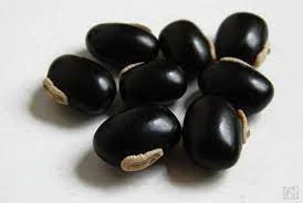 SEMENTE DE MUCUNA PRETA MUCUNA PRURIENS 20G