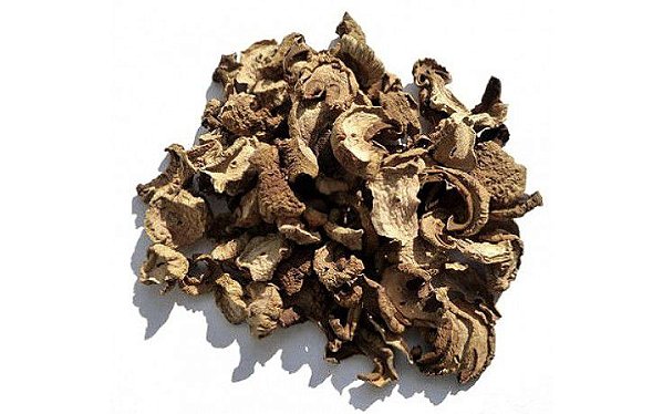 FUNGHI SECO 100G COGUMELO
