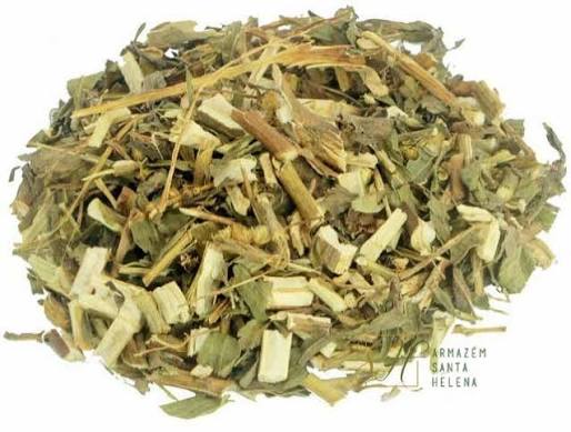 CHA ARNICA SILVESTRE LYCHNOPHORA ERICOIDES 100G