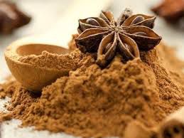 ANIZ ESTRELADO EM PO ANIS 100G  ILLICIUM VERUM