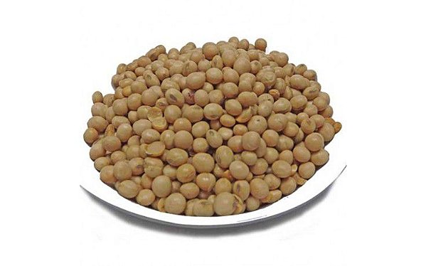 SOJA EM GRAO A GRANEL 1KG