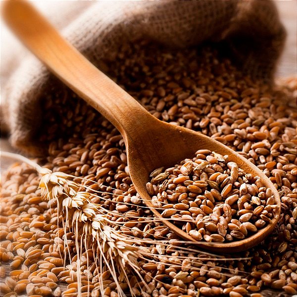 TRIGO EM GRAOS GRANEL 1KG