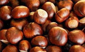 CHA CASTANHA DA INDIA SEMENTE INTEIRA 100G  AESCULUS HIPPOCASTANUM