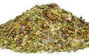 CHA BRANCO 40G CAMELLIA SINENSIS