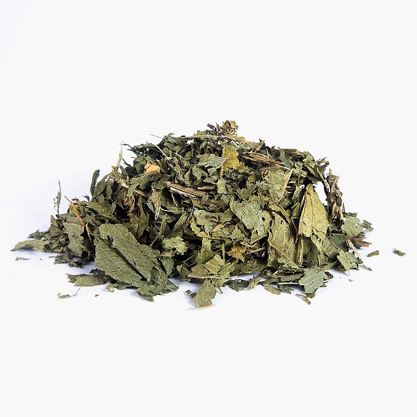 CHA CHAPEU DE COURO 100G ECHINODORUS GRANDIFLORUS