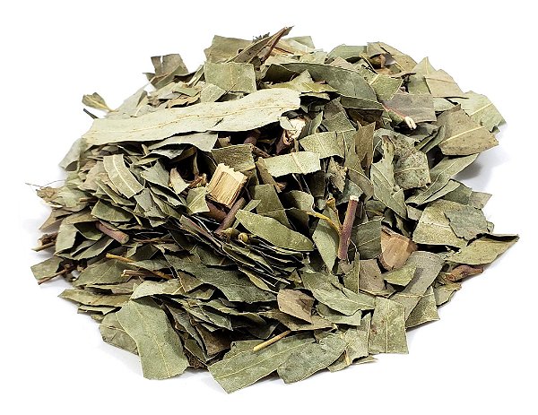 CHA 30G EUCALIPTO CITRIODORA  CHEIROSO SAUNA