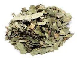 CHA EUCALIPTO GLOBULOS 30G EUCALYPTUS GLOBULUS LABILL