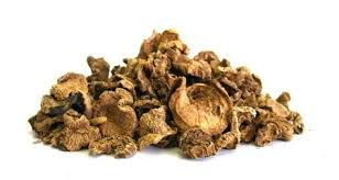 CHA GARRA DO DIABO ARPAGO 30G HARFA GOPHYTUM PROCUMBENS