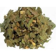 CHA GUACATONGA 20G CASEARIA SYLVESTRIS