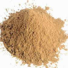 NOZ DE COLA PO 100G STERCULIA ACUMINATA