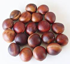 CHA CORONHA SEMENTE DESIDRATADA 01 UNIDADE NEPHELIUM LONGATA 10G