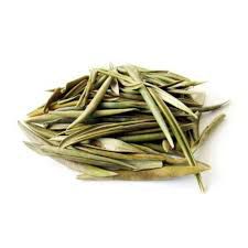 CHA 30G OLIVEIRA FOLHAS  OLEA EUROPAEA