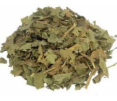 CHA 20G PORANGABA BUGRE CORDIA SALICIFOLIA CHAM