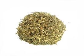 CHA QUEBRA PEDRA 30G UNIDADE PHYLLANTHUS NIRURI