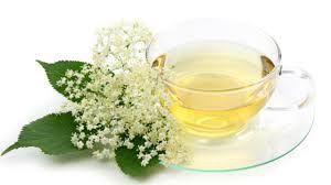 CHA SABUGUEIRO 20G SAMBUCUS NIGRA