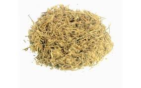 CHA 30G SETE SANGRIAS DO SUL CUPHEA SPP
