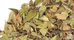 CHA UVA URSI AROTOSTAPHYLOS UVA URSI 100G