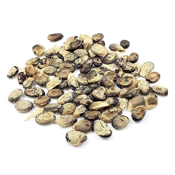 CHA EMBURANA SEMENTES 40G TORRESEA CEARENSIS ALLEM