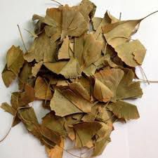 CHA GINKGO BILOBA FOLHAS DESIDRATADAS 100G