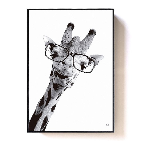 35 ideias de Óculos  óculos, oculos juliet, juliet
