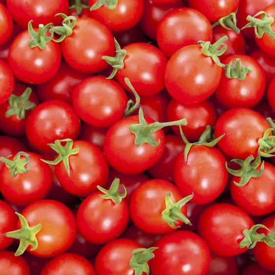 Sementes de Tomate Cereja Vermelho - 50 sementes