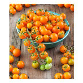 Sementes de Tomate Cereja Laranja - 30 sementes