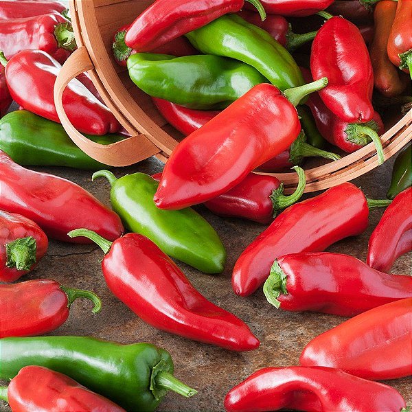 Sementes de Pimenta Doce Italiana (Capsicum annuum)