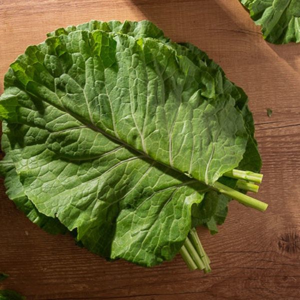 Sementes de Couve Manteiga (Brassica oleracea L. var. acephala)