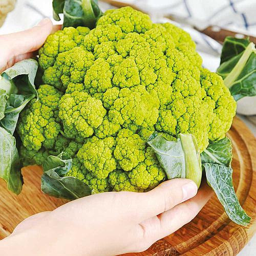 Sementes de Couve-Flor Verde (Brassica oleracea L. var. botrytis)