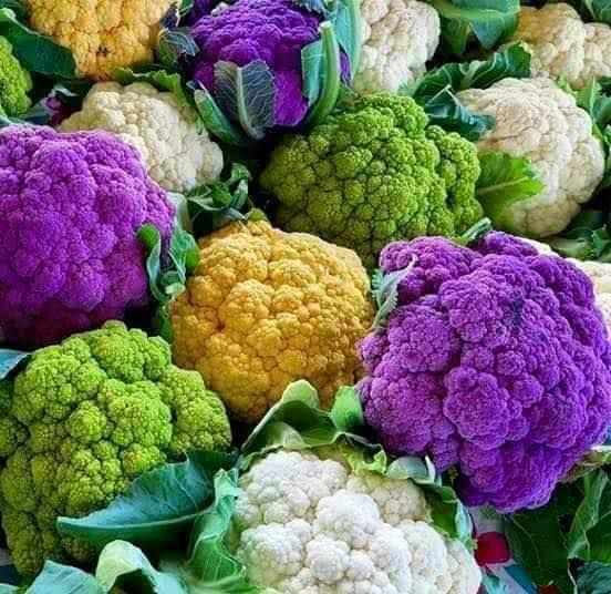 Sementes de Couve-Flor Mix Arco-Íris